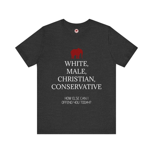 How Else Can I Offend You Today? Male T-Shirt