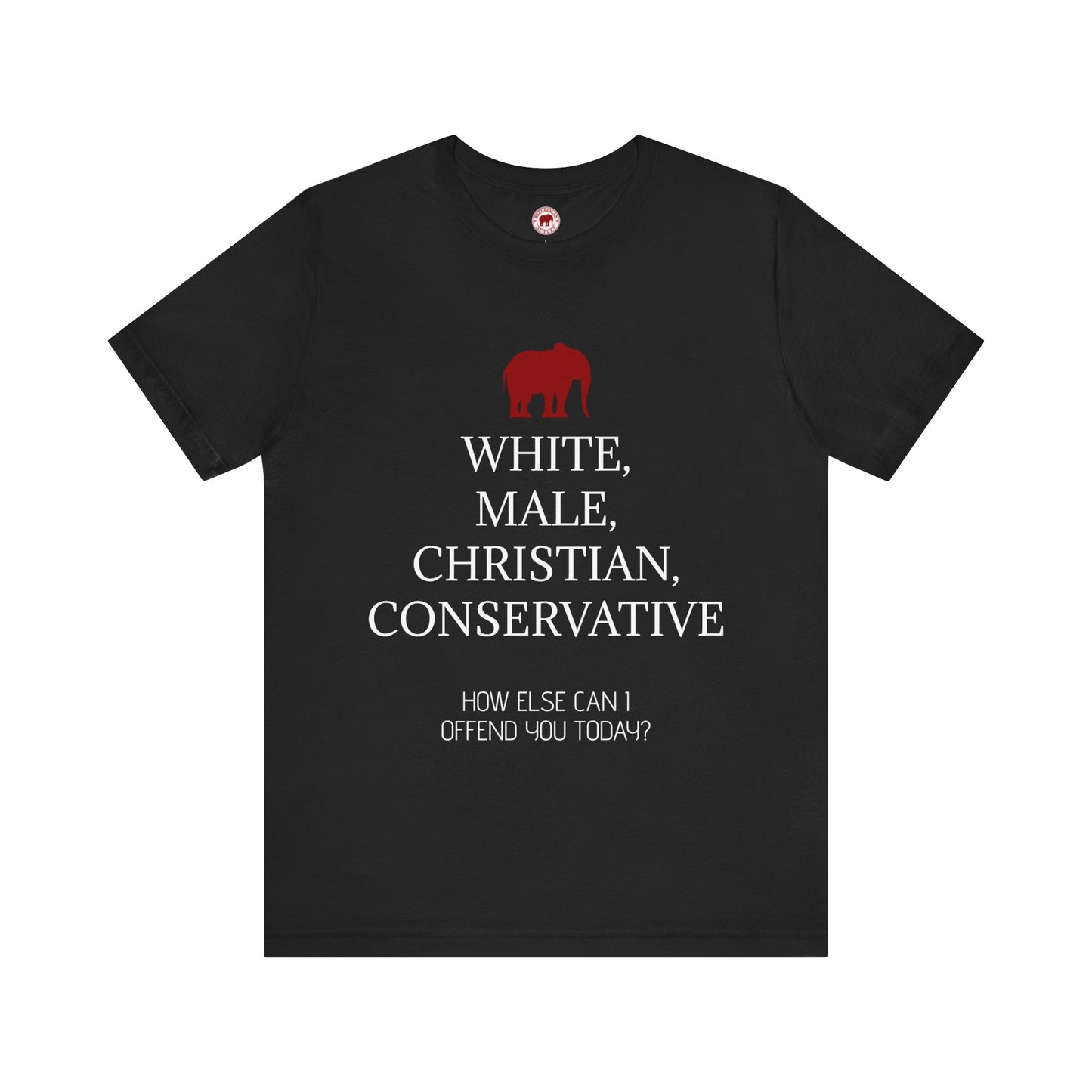 How Else Can I Offend You Today? Male T-Shirt