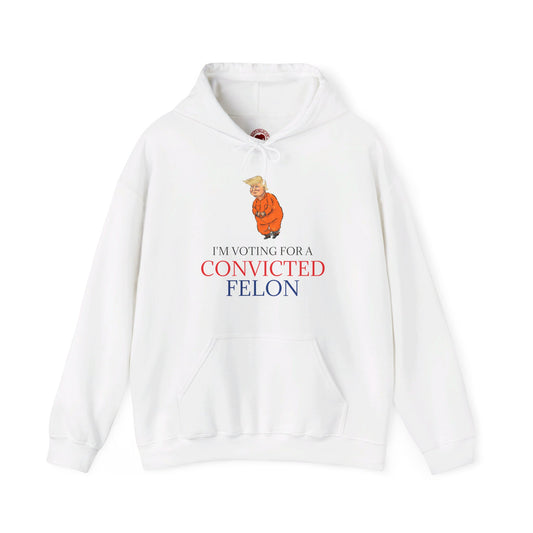 I'm Voting For a Convicted Felon Hoodie