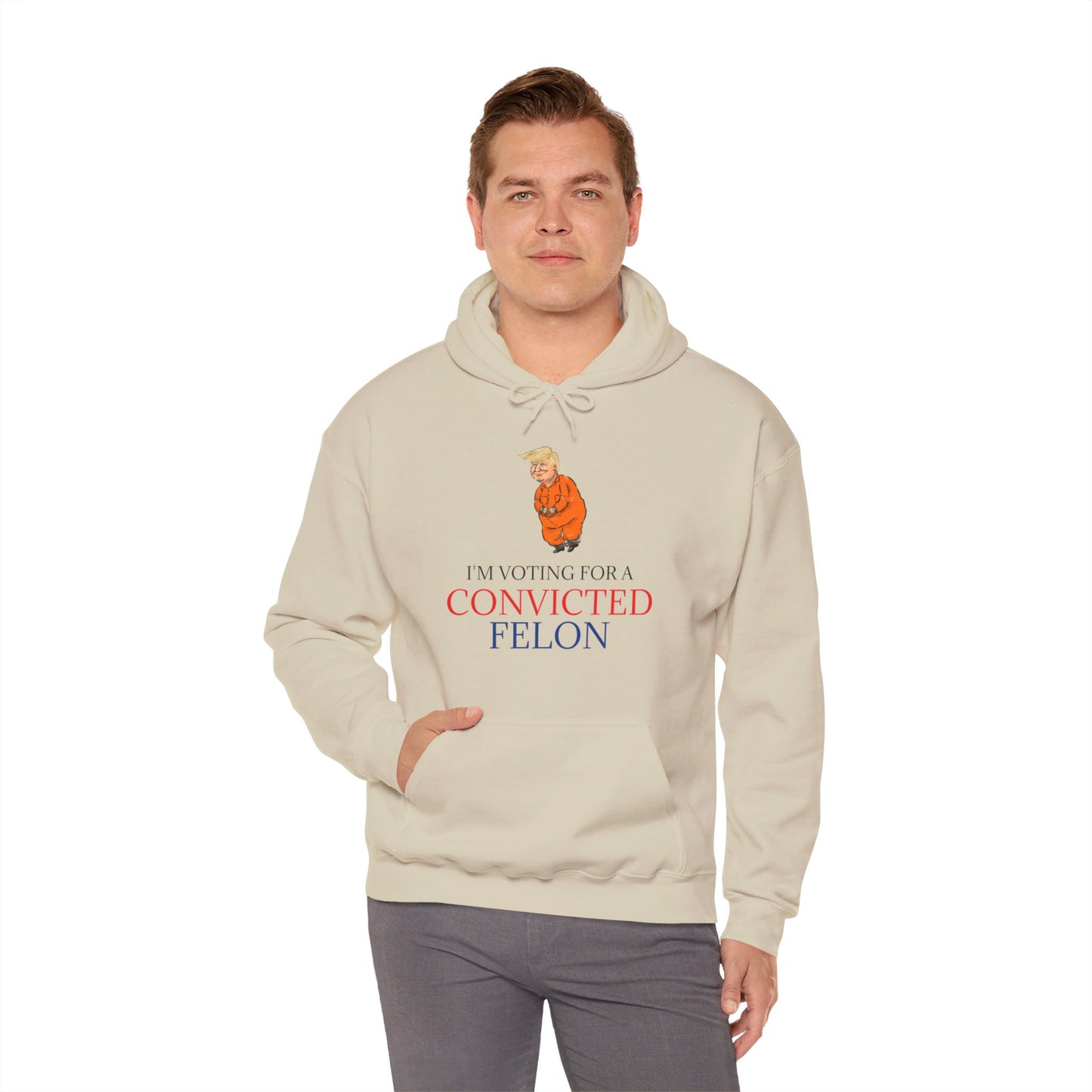 I'm Voting For a Convicted Felon Hoodie