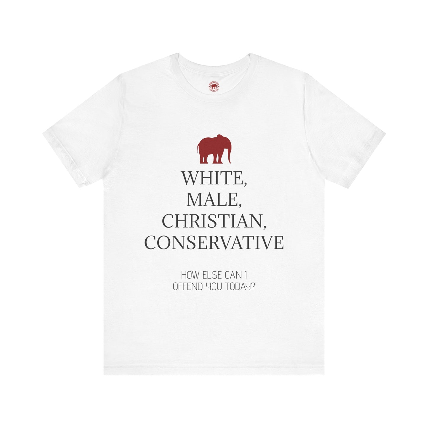 How Else Can I Offend You Today? Male T-Shirt