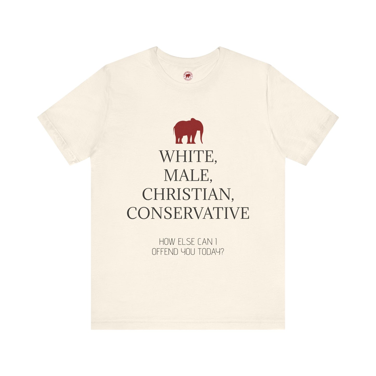 How Else Can I Offend You Today? Male T-Shirt