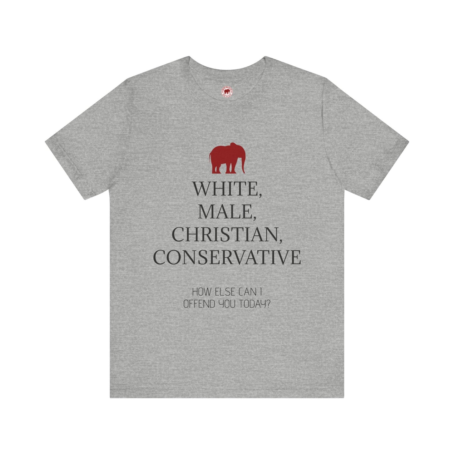 How Else Can I Offend You Today? Male T-Shirt